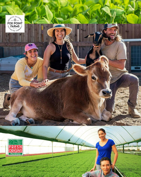 An image showing Fox Point Farms and Fresh Origins, two of the farms where EDERRA gets their broccoli microgreens for EMPWR+