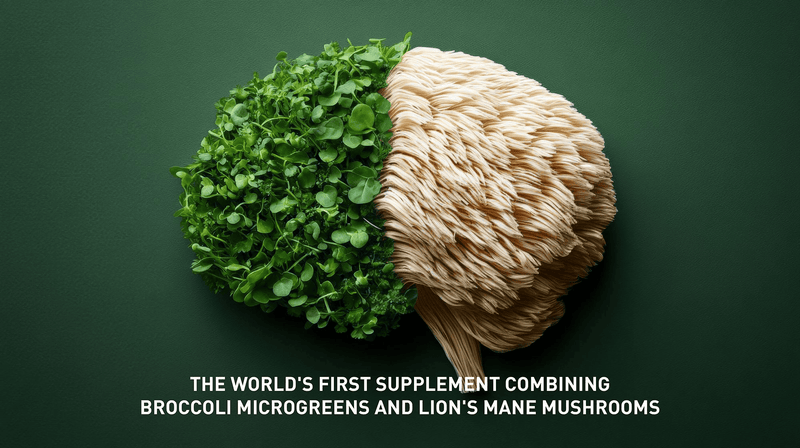 Broccoli microgreens & sprouts