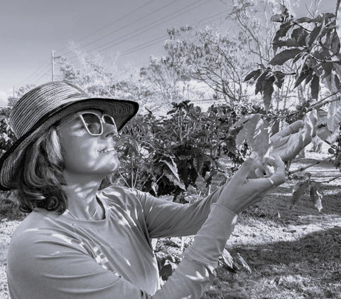 DIRECTOR OF EDUCATION, SOCIAL IMPACT