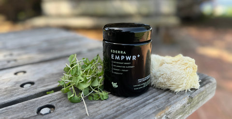 EDERRA EMPWR+ Biophotonic Glass Jar on a picnic bench with fresh broccoli microgreens and fresh lion's mane mushrooms