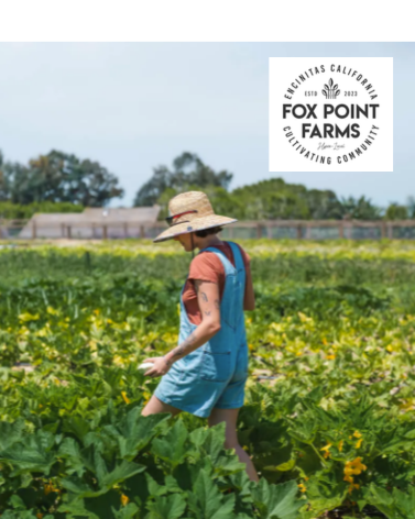 An image of a woman walking through a field on a farm with the Fox Point farms logo